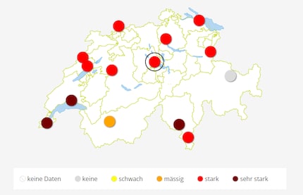 Visit www.pollenundallergie.ch for up-to-date information on pollen that can trigger various allergies.