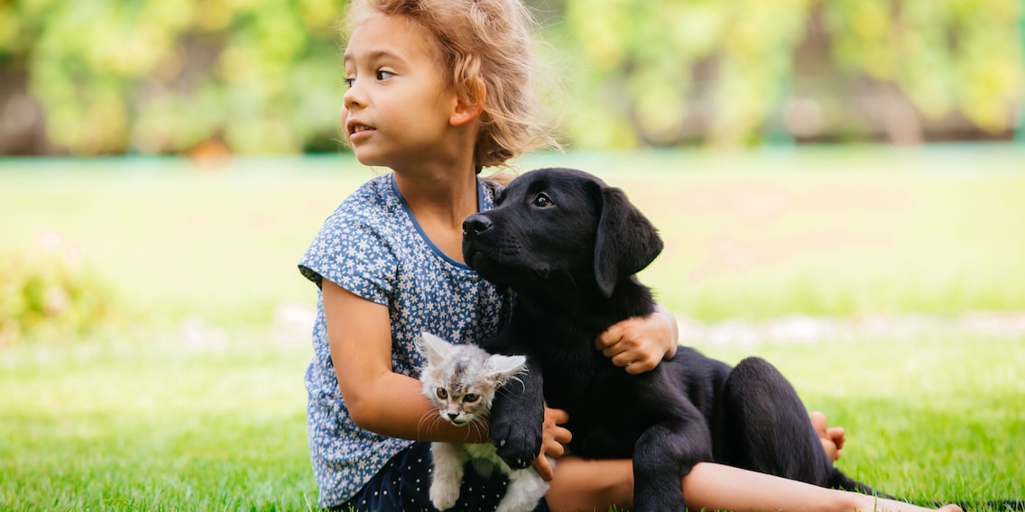 Grande étude : les chats et les chiens protègent les enfants contre les allergies
. Grande étude : les chats et les chiens protègent les enfants contre les allergies
.