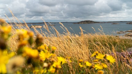 Die Schärenküsten in Schwedens Westen (oder im Osten) bieten wilde Ruhe.
