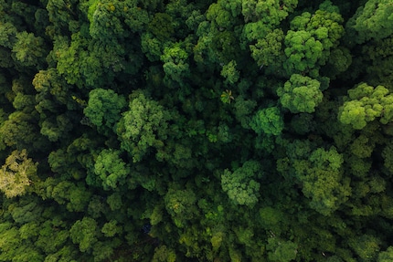 Una foto dalla fotocamera principale del Mavic 3 Pro.