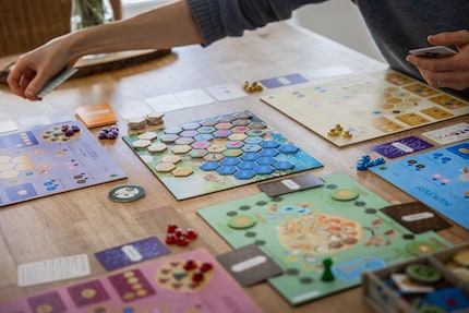 Lo scopo del gioco è garantire che la tua colonia di api riceva abbastanza cibo per sopravvivere all'inverno in arrivo.