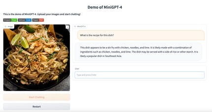 This is what MiniGPT-4 looks like during my Pad Thai conversation.