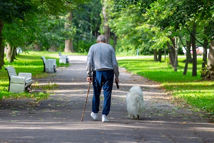 Ein Hund ist für viele ältere Menschen nicht nur Freund, sondern Antrieb selbst aktiv zu bleiben.