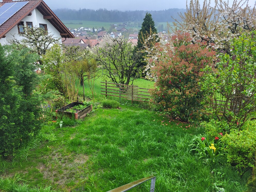 È quasi fatta: il mio prato è finalmente di nuovo verde.