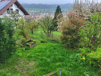 Es ist fast vollbracht: Mein Rasen präsentiert sich endlich wieder in saftigem Grün.