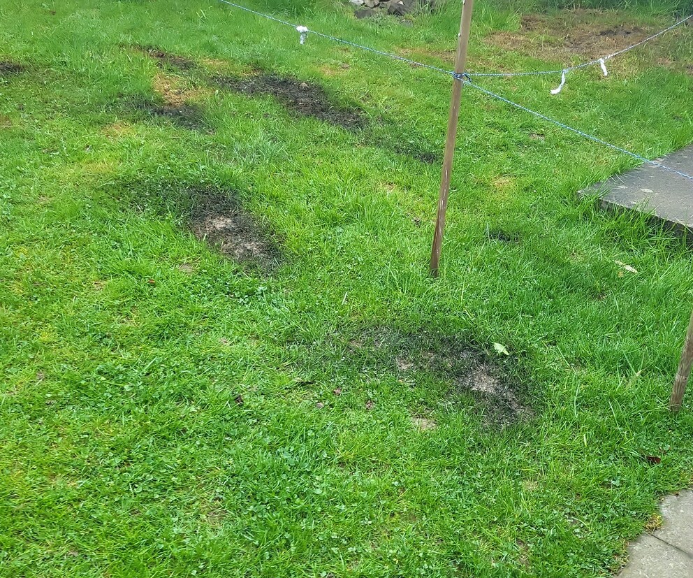 Ancora una volta si è fatta terra bruciata.