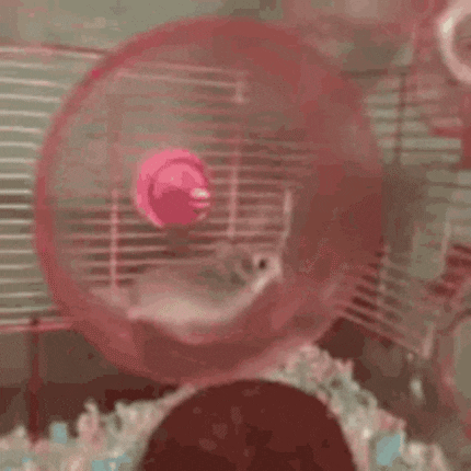 Zelda steps up to Usain Bolt – but this could easily happen in a wheel that’s too small.