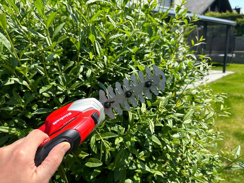 Liebe Einhell, schneide einen Strauch. Ja, das geht auch.