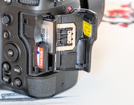 La foto migliore, scattata con la D7500, che è stata usata per il rapporto.