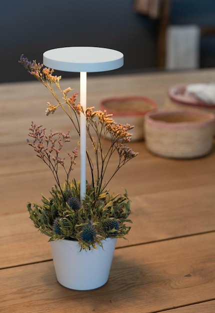 For anyone with a blooming imagination: the storage tray is suitable for storing or decorating.