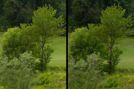 Grazie alla risoluzione più elevata, il Sony Alpha 7RV (a destra) mostra dettagli più fini rispetto all'Xperia (a sinistra).