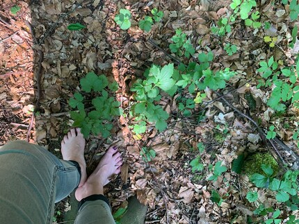 Barfuß auf dem sanften Waldboden: mein eindrücklichstes Erlebnis am heutigen Tag.