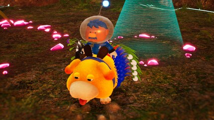 Tous mes Pikmins ont leur place sur Otchin.