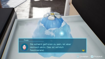 Gefunden! Mit der Eis-Zwiebel kann ich nun auch Eis-Pikmin züchten.