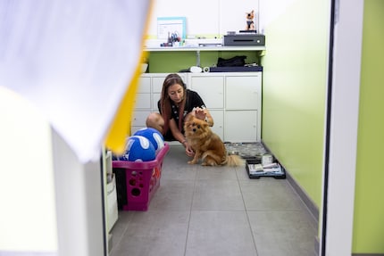 La réceptionniste Deborah Thillen et sa chienne Missy nous accueillent au Tierhotel 5 Stern.