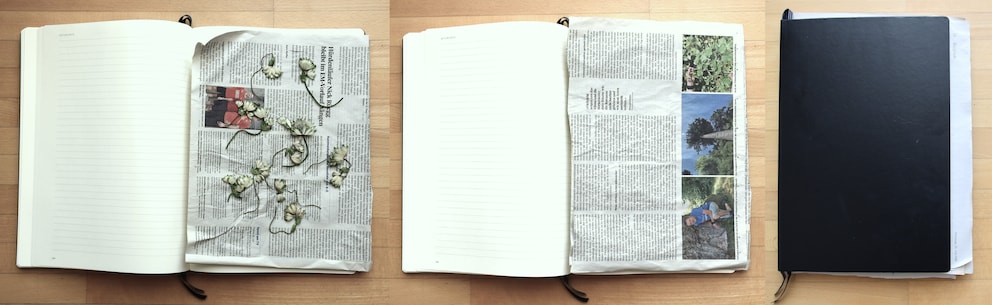 Put it in, cover it, close it: this is how flowers can be pressed easily in a book.