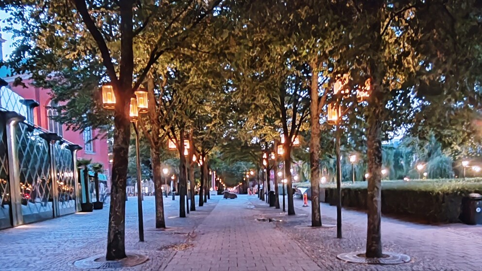 Kungsträdgården by Night.