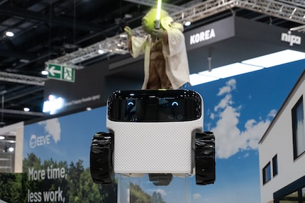 Robot Willow looks likeable. And mascot Yoda puts the icing on the cake.