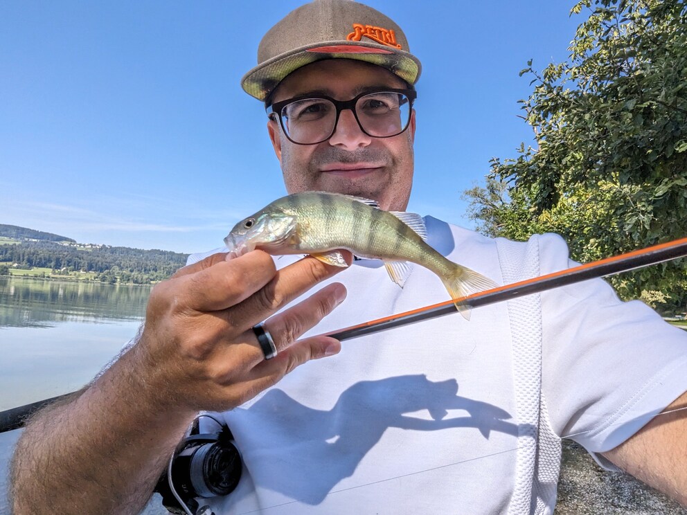 Al terzo tentativo, ho finalmente pescato un pesce persico (anche se molto piccolo).
