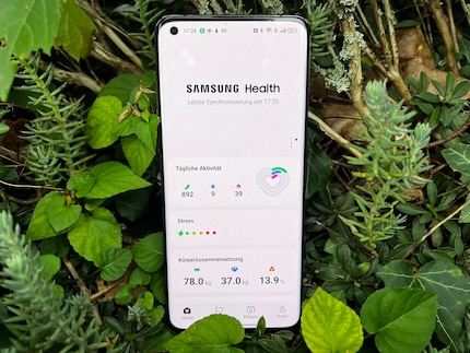Die Health-App zeigt sowohl Bewegungs- als auch Gesundheitsstatistiken an.