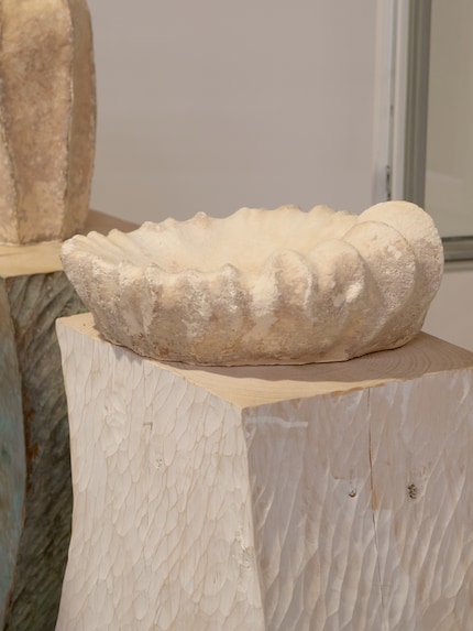 È composta, tra le altre cose, dalle cellule filamentose di un fungo.