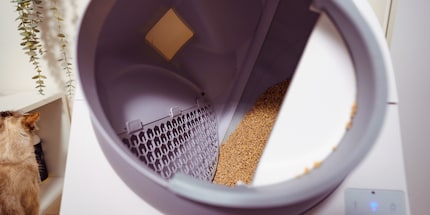 Il tamburo ruota fino a quando il foro non si trova in basso. La sabbia viene filtrata attraverso il setaccio nel cassetto laterale.