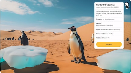 Content Credentials ha lo scopo di rendere trasparente la creazione di un'immagine. Anche le immagini generate dall'intelligenza artificiale possono essere etichettate in questo modo.