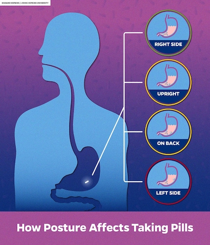 Due to the asymmetrical shape of the stomach, its movements as well as gravity, the active ingredient will reach the intestine, and thus the bloodstream, at different speeds depending on the position of the body.