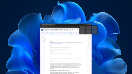 Tieni il puntatore del mouse su «Ingrandisci» per visualizzare una panoramica del layout. Fai clic sulla posizione desiderata della finestra.