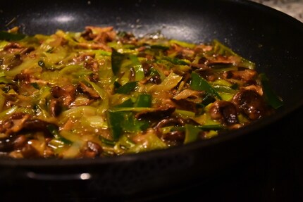 Really quite delicious: my shiitake simmering with leek, butter and onions in the stock.