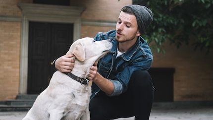 Können wir mit unseren Hunden bald über die Zoolingua-App kommunizieren? Der Tierverhaltensfoscher Dr. Con Slobodchikoff hält es durch neue Technologien durchaus für möglich und arbeitet mit seinem Team an der Entwicklung einer solchen App.