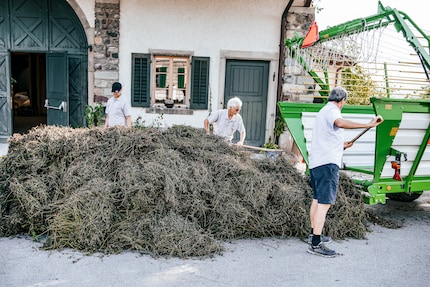 La coltivazione e la raccolta avvengono in collaborazione con un'organizzazione sociale. La distillazione avviene direttamente in loco