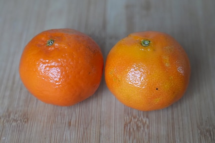 Minimer Farbunterschied: Die Mandarine (l.) ist etwas dunkler als die Clementine.