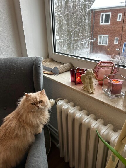 Interesse ist zwar da, …