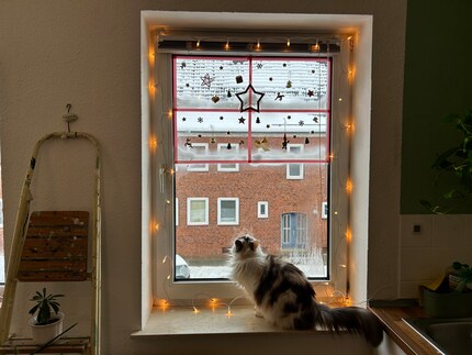 Deine Fenster können auch schön aussehen, wenn du sie nur oben dekorierst.