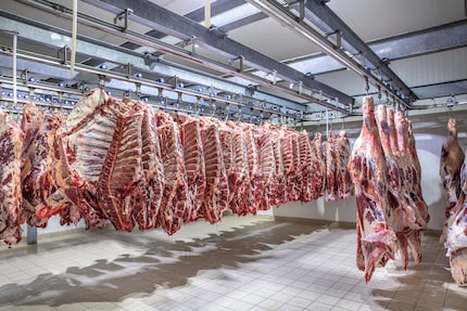 Come promemoria: ecco l'aspetto iniziale della tua cena di ieri.