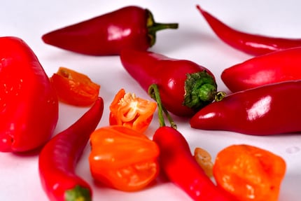 Qu’ils soient grands et doux ou petits et piquants, le poivron et le piment appartiennent au même genre de plantes appelé capsicum. 