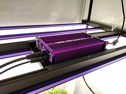 Das Herzstück meines neuen Zelts, die neue LED-Lampe, leuchtet weiss.