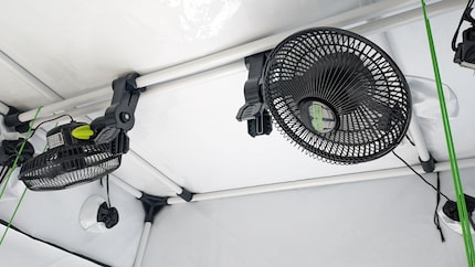 Le due ventole di circolazione di Garden HighPro sono realizzate per grow box e progettate per un funzionamento continuo.