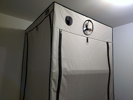 La lampada è visibile sulla tenda grazie alla pressione negativa. Le aperture dei tubi superiori della tenda sono appositamente aperte in modo che l'aria fresca venga aspirata principalmente da lì.
