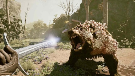 « Avowed » d’Obsidian est l’un des jeux à fort potentiel pour la Xbox.