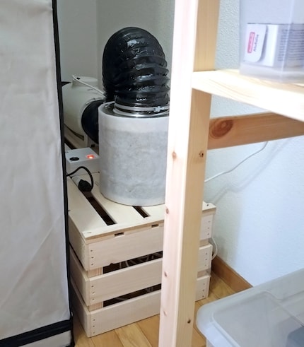 Mein Lagerraum enthält, was in einem Haushalt so gelagert wird – plus einen kleinen Garten.
