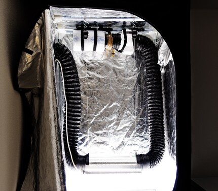 Mein altes, im Zelt installiertes Abluftsystem. Die Glasröhre ist eine Cool Tube, die als aktive Kühlung für die sehr heisse Natriumdampflampe dient.