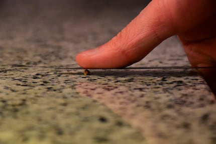 Vous l’entendez craquer ? Alors vous pourrez bientôt le moudre pour faire votre pain.