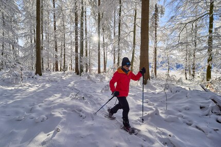 Le racchette da neve sono ottime anche sui sentieri.
