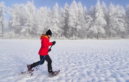 Con le racchette da neve flessibili di TSL puoi addirittura fare jogging.