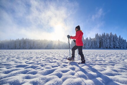 Le racchette da neve di TSL funzionano bene sulla neve ventata.