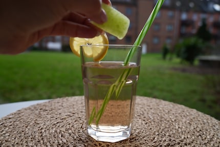 I cubetti di ghiaccio a base di tè sono facili da preparare e nelle giornate calde danno un tocco in più all'acqua.