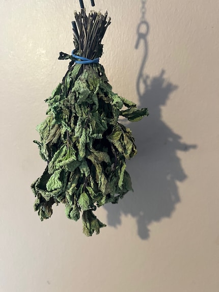 Mi piace usare la menta fresca per aromatizzare i miei piatti. Prima che appassisca, la lascio seccare e poi la uso per preparare un tè.
