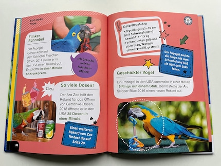 Les textes courts en gros caractères sont intégrés dans un design adapté aux enfants et des images captivantes, ce qui rend la lecture facile même pour les débutants.